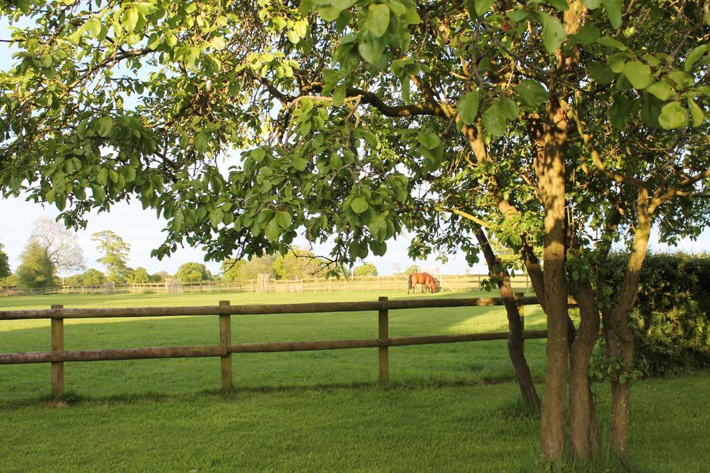 The Jockey Room Hideaway Spurstow Eksteriør billede